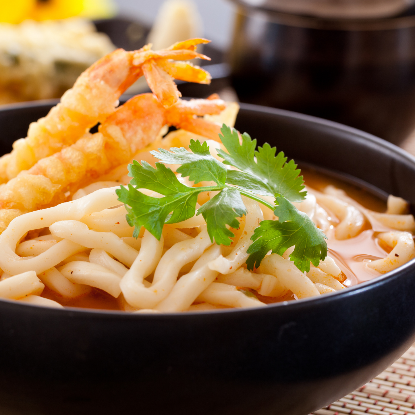 ALLGROO Udon Nudeln mit Meeresfrüchte Geschmack (3 Portionen-230g) 690g