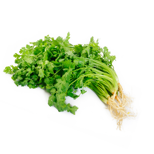 Thailändische Koriander mit Wurzel 📍Kühlware ผักชีไทย พร้อม ราก 100 g กรัม