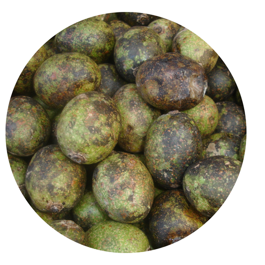 Hog Plum for Cooking มะกอก ใส่ส้มตำ สด 100 gram
