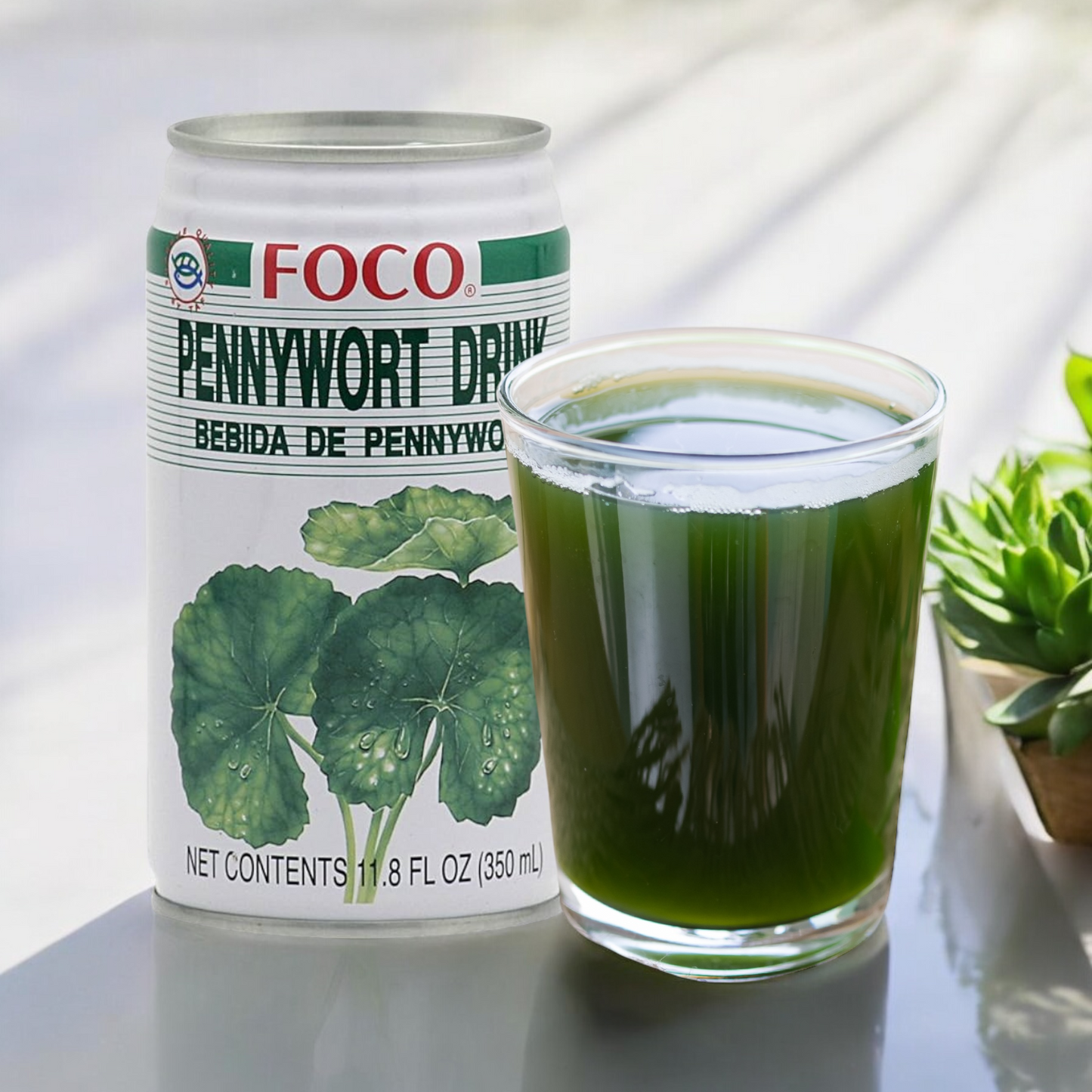 FOCO  Pennywort Getränk 350 ML น้ำใบบัวบก