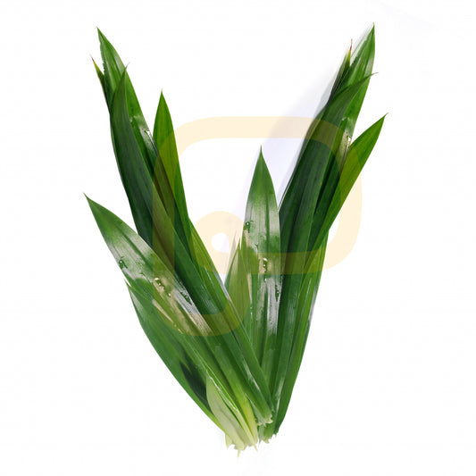 Pandan Leaf Fresh 100 gram